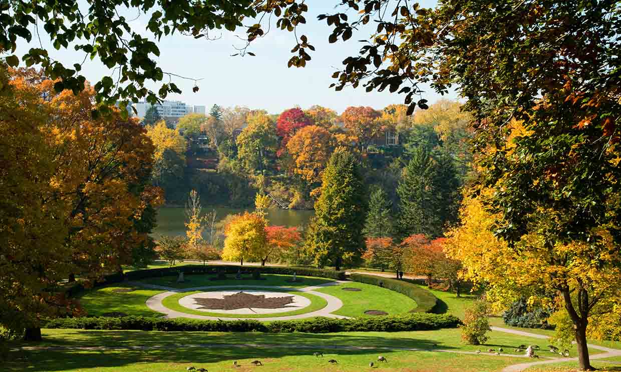 Exploring Toronto in Fall: Beautiful Parks and Waterfront Walking Routes